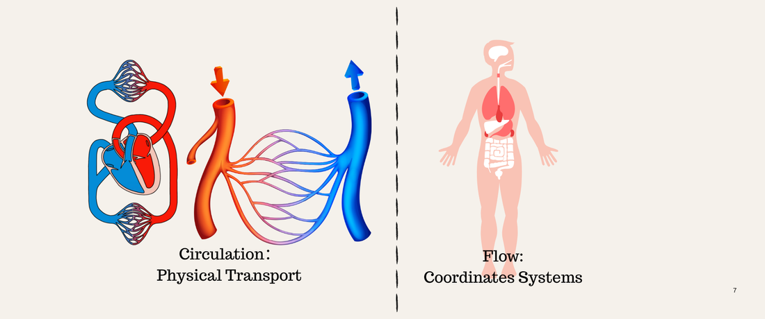 Circulation vs Flow: Why Blood Movement Alone Isn’t Enough for Real Recovery