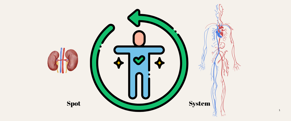 Pattern Thinking in Recovery: Treating the System, Not the Spot