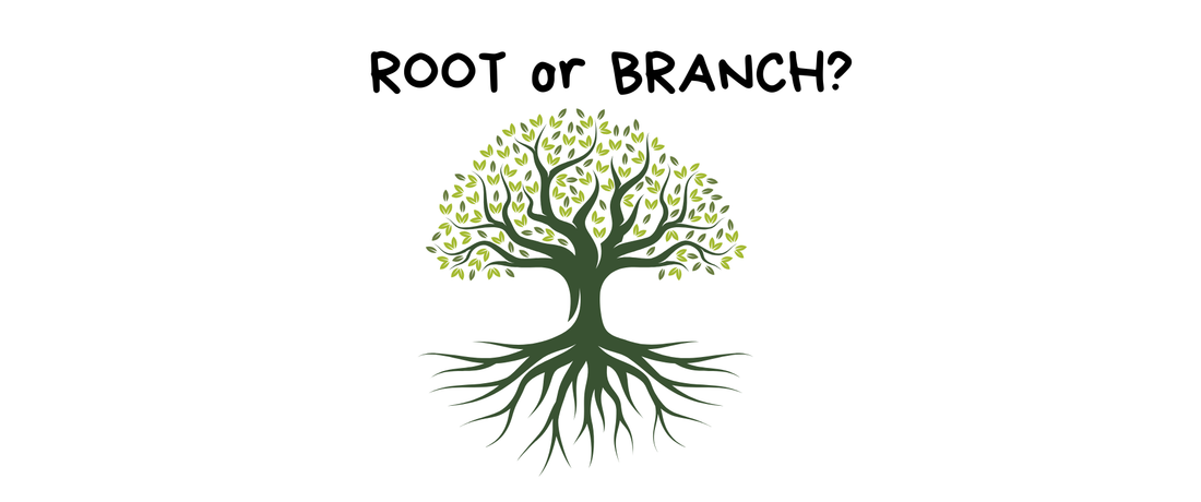 Root vs Branch TCM: Understanding the Real Cause, Not Just the Symptoms