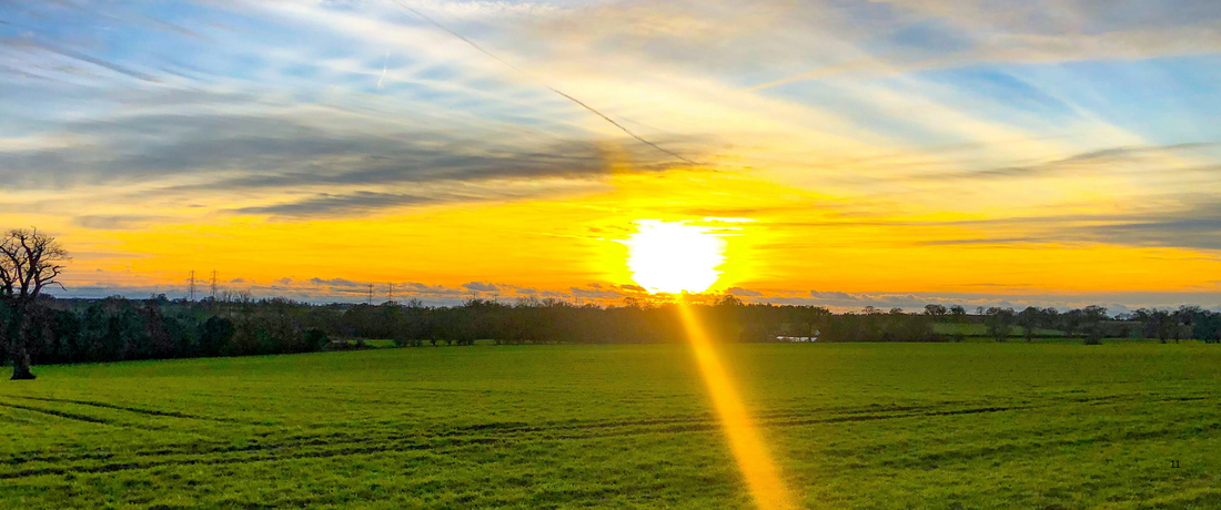 Why Temperature Matters So Much in Chinese Wellness