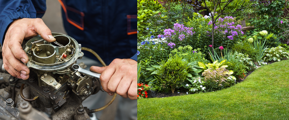 Patterns, Not Symptoms: How TCM Understands the Body