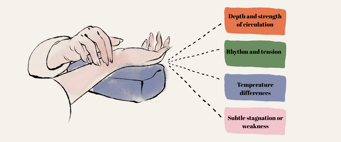 Why TCM Requires Touch, Not Just Observation