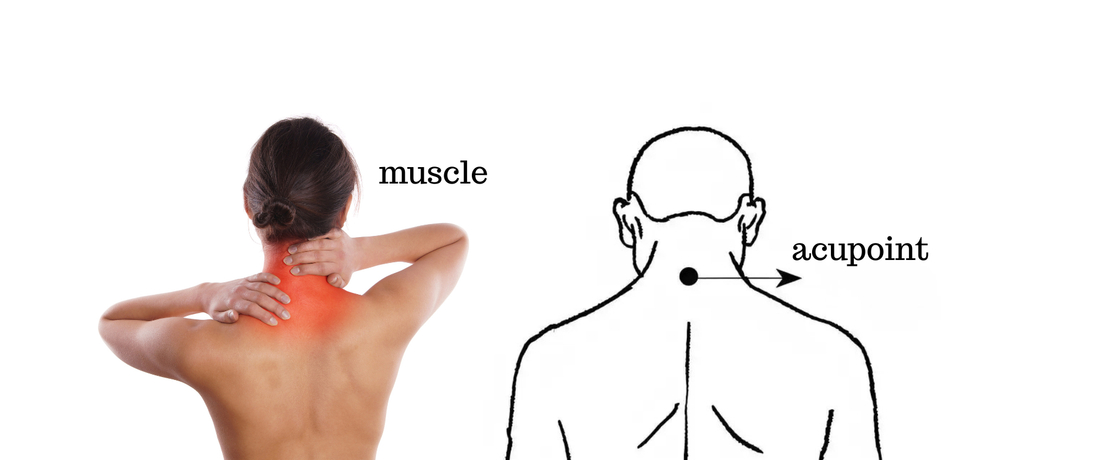 Why Pain Keeps Returning — When We Only Treat the Symptom