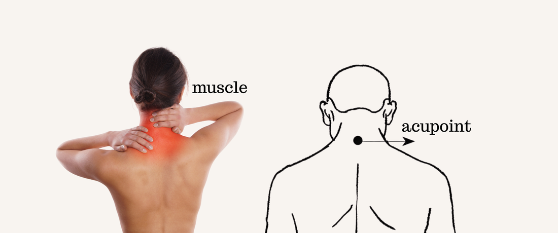 Why Pain Keeps Returning — When We Only Treat the Symptom