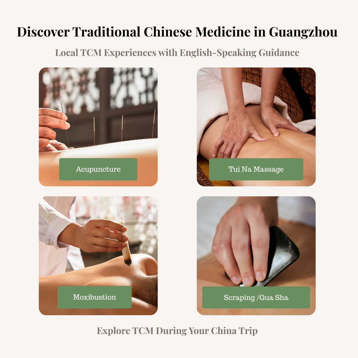 TCM Guangzhou | Book Your English-Guided TCM Experience