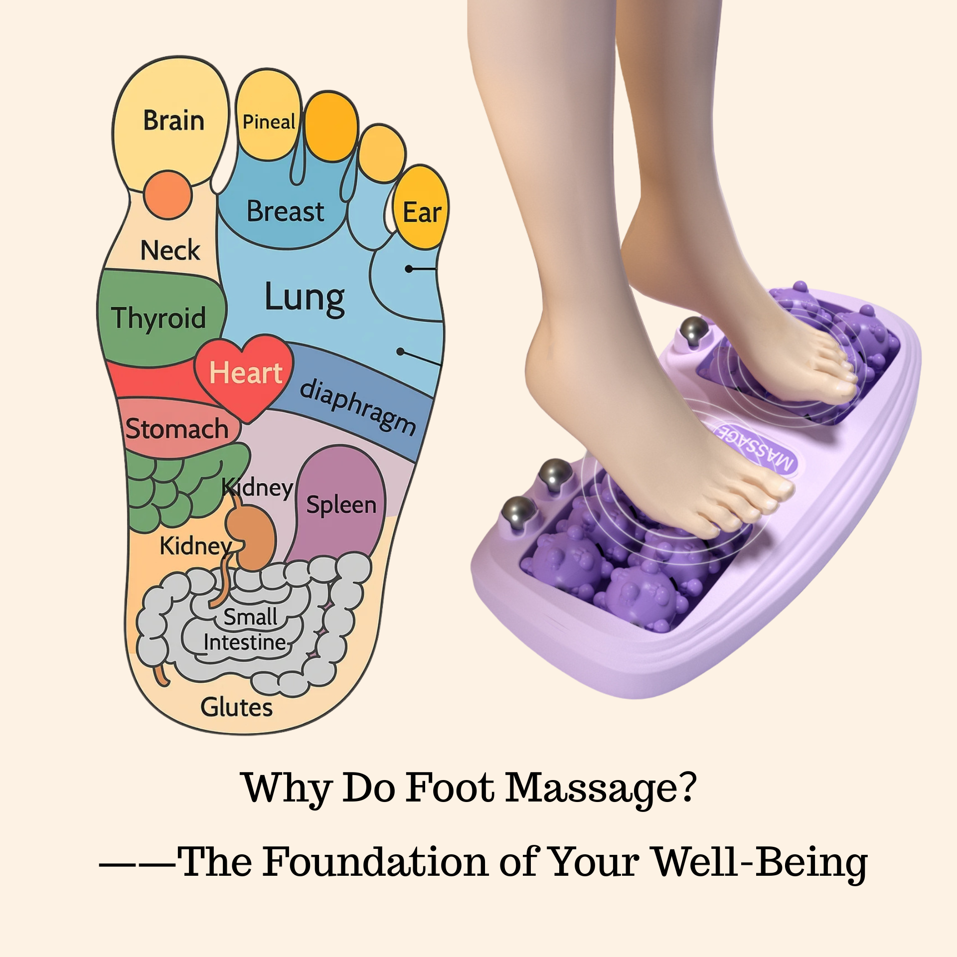 Foot Acupressure Therapy Tool Foot Roller Massager for Stress Relief & Foot Pain