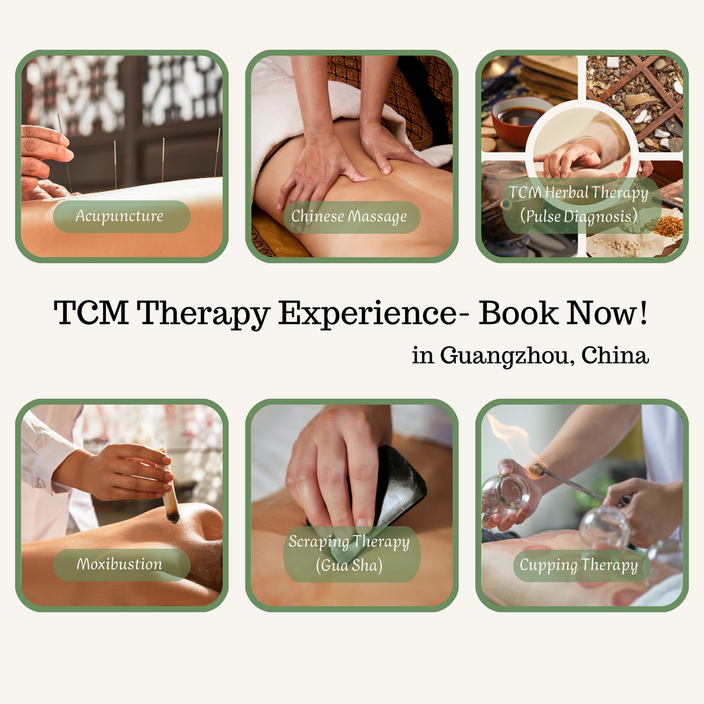 BOOK Your TCM Experience in Guangzhou (Medical Travel China)