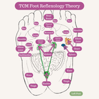 Foot Acupressure Therapy Tool Foot Roller Massager for Stress Relief & Foot Pain